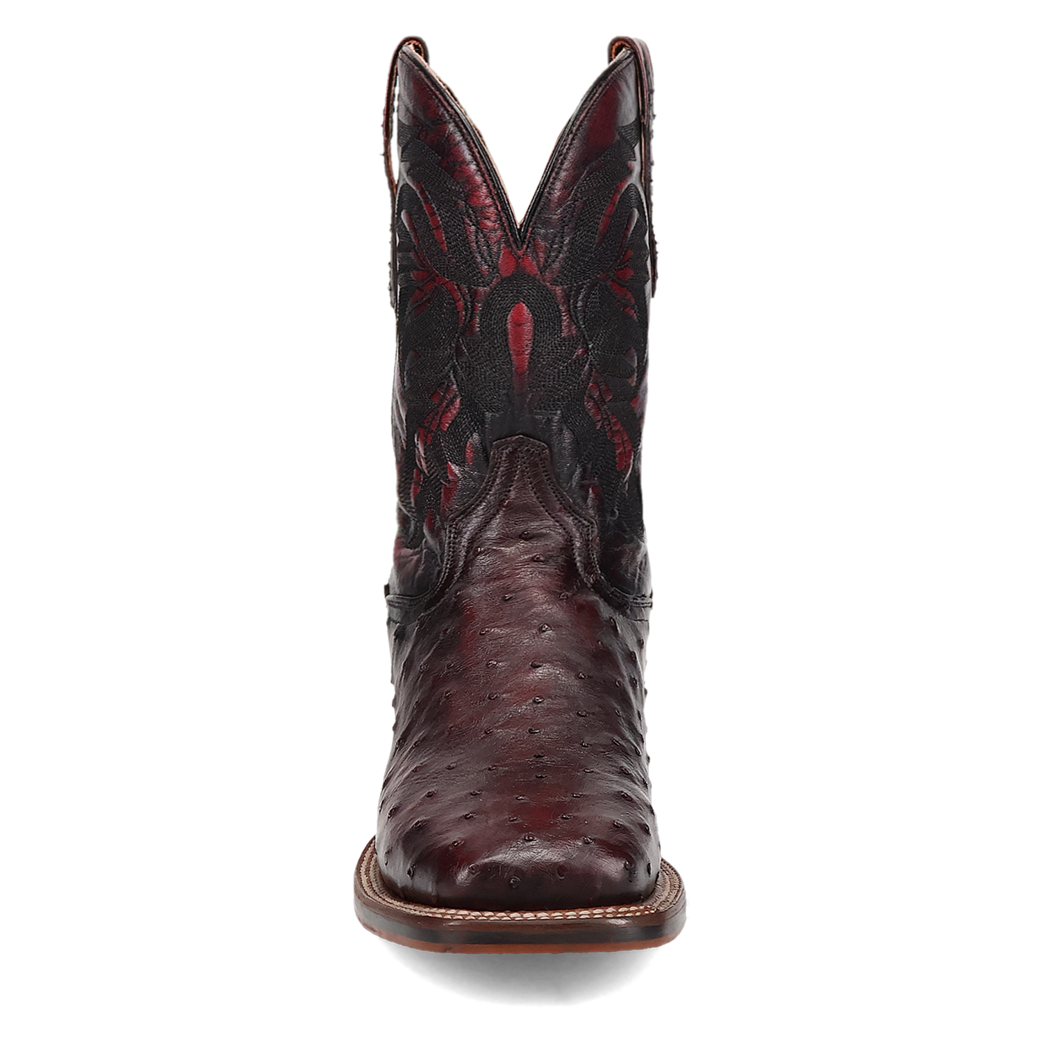 Dan Post Mens Alamosa Full Quill Ostrich Black Cherry Boot-DP5012