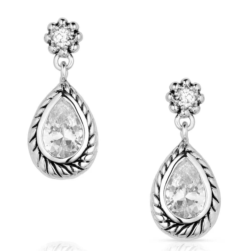 Montana Silversmiths Leading Light Crystal Earrings-ER5850