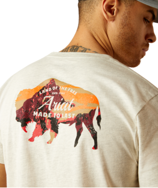 Ariat Men's Oatmeal Heather Bison Landscape TShirt-10052571