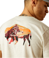 Ariat Men's Oatmeal Heather Bison Landscape TShirt-10052571