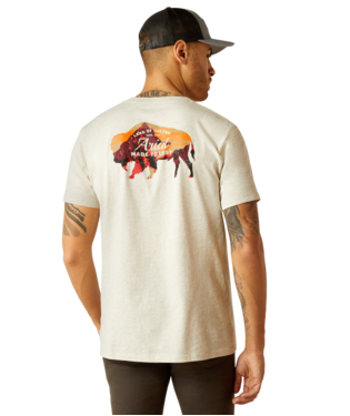 Ariat Men's Oatmeal Heather Bison Landscape TShirt-10052571